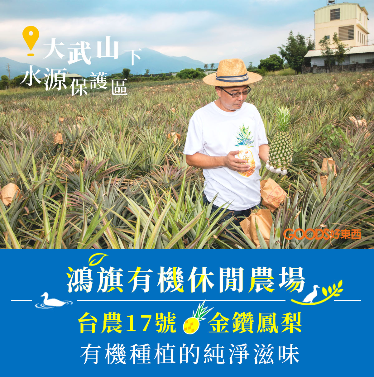 鴻旗有機休閒農場:圖片 2